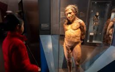 Mens had DNA van neanderthaler nodig om in Europa te overleven