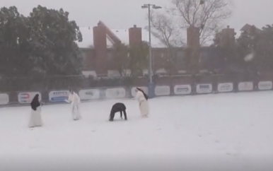 Nonnen en priester houden sneeuwballengevecht in New Orleans