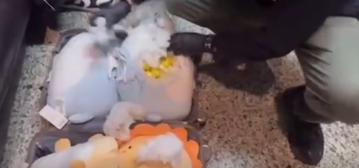Kilo’s cocaïne gevonden in knuffelbeesten bij Cambodjaanse grens