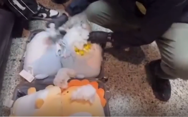 Kilo’s cocaïne gevonden in knuffelbeesten bij Cambodjaanse grens