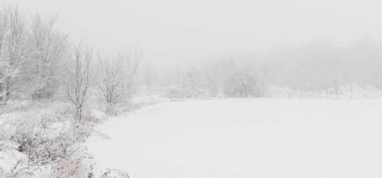 Donderdag sneeuw in delen van Nederland, code geel in het zuidoosten