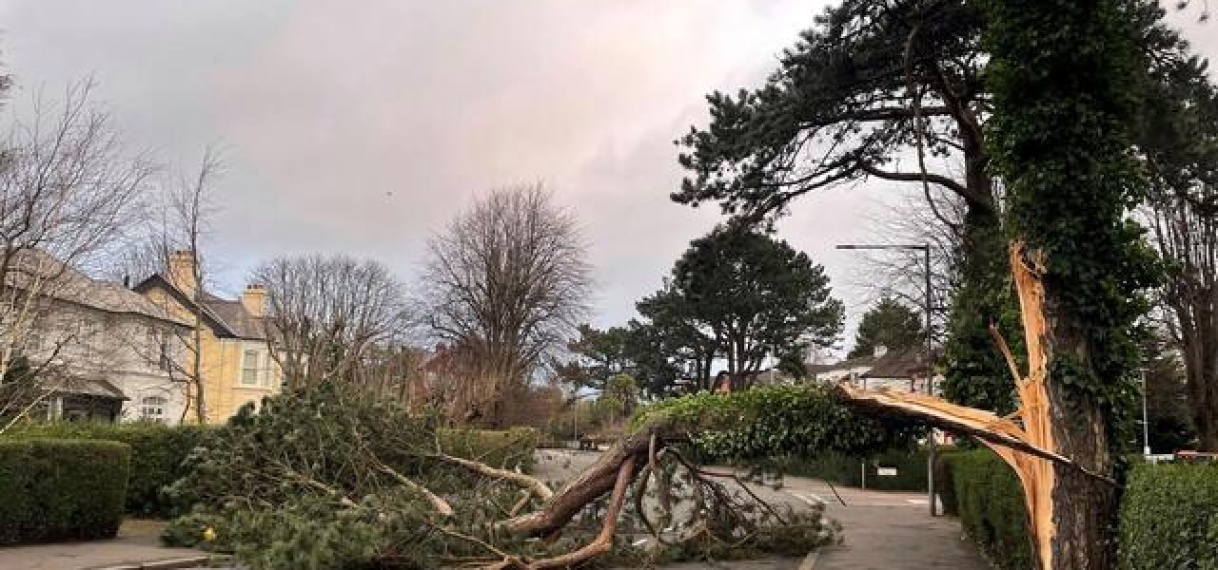 Recordaantal Ierse panden zonder stroom, premier spreekt van ‘historische storm’