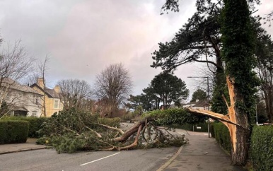 Recordaantal Ierse panden zonder stroom, premier spreekt van ‘historische storm’