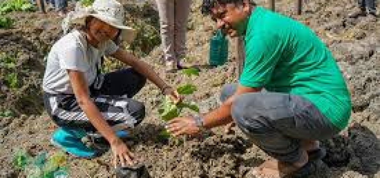 LVV zet Farmers Field School Markoesa op te Kwatta