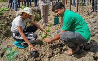 LVV zet Farmers Field School Markoesa op te Kwatta