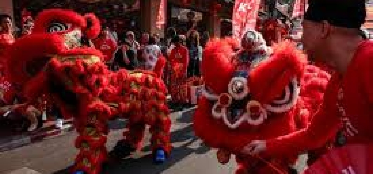 VHP bij Chinees Nieuwjaar- Jaar van de slang