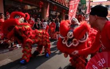 VHP bij Chinees Nieuwjaar- Jaar van de slang
