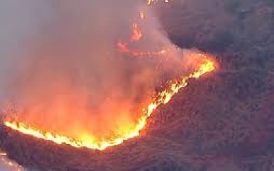 UPDATE: Luchtbeelden tonen snelgroeiende nieuwe brand bij Los Angeles