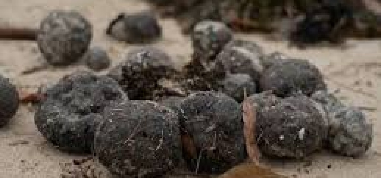 Stranden in Australië weer gesloten vanwege ‘mysterieuze ballen’