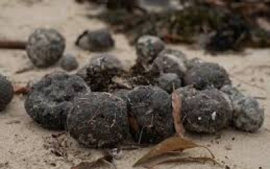 Stranden in Australië weer gesloten vanwege ‘mysterieuze ballen’