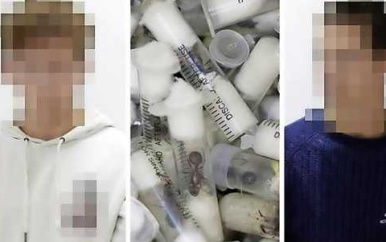 Vlaamse tieners moeten in Kenia bijna 7000 euro boete betalen voor smokkelen inheemse mieren