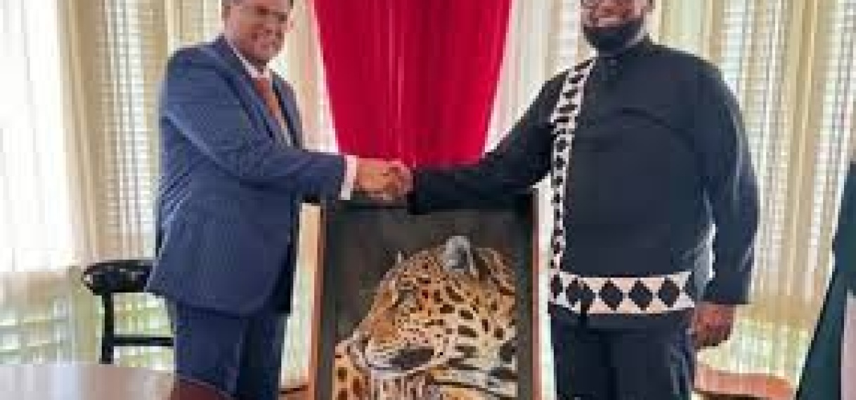 Presidenten Santokhi en Ali versterken Suriname-Guyana samenwerking tijdens bilateraal overleg