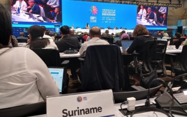 “Suriname Pleit voor Duurzame Samenwerking op ACS-Top in Colombia”