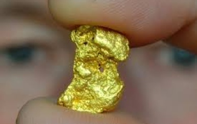 Sranan Gold start groot boorproject in Zuidoost-Suriname