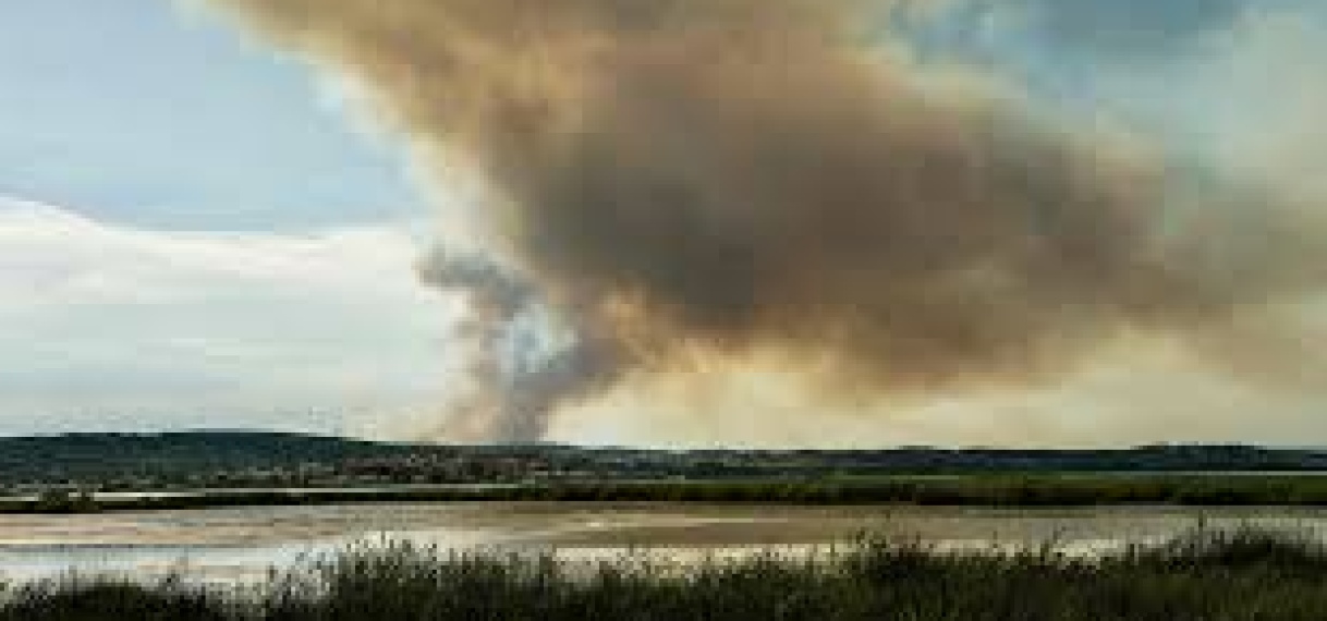Grote bosbranden in Zuid-Frankrijk door slecht gedoofde barbecue