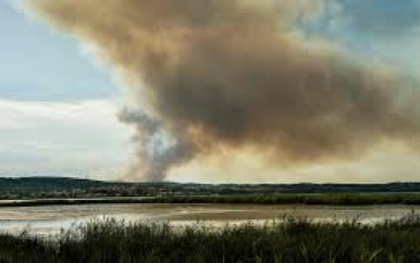 Grote bosbranden in Zuid-Frankrijk door slecht gedoofde barbecue