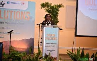 Belanghebbenden uit de drie Guyana’s bundelen krachten voor duurzame goudwinning