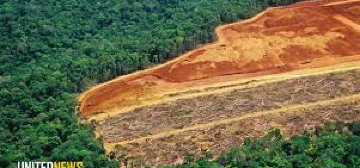 Afro-afstammelingen beschermen Amazone: Ontbossing tot 55% lager in Suriname en regio