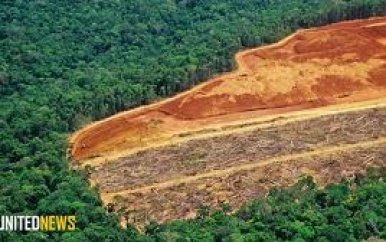 Afro-afstammelingen beschermen Amazone: Ontbossing tot 55% lager in Suriname en regio