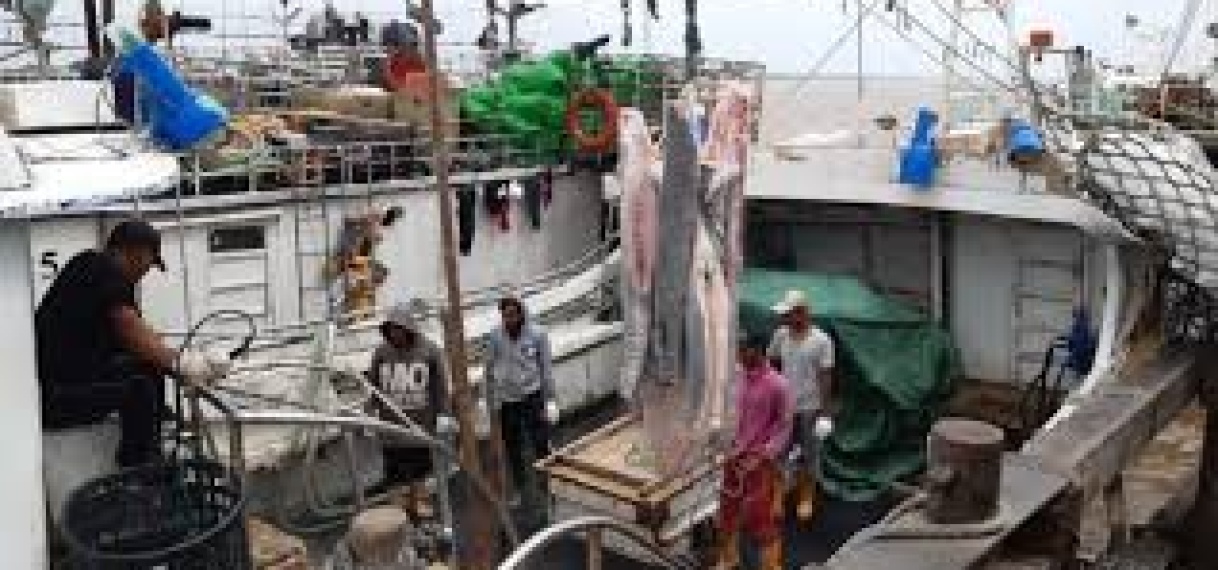 Suriname en WWF bundelen krachten tegen illegale visserij