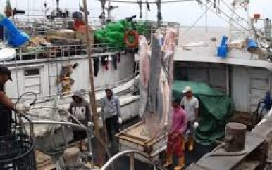 Suriname en WWF bundelen krachten tegen illegale visserij