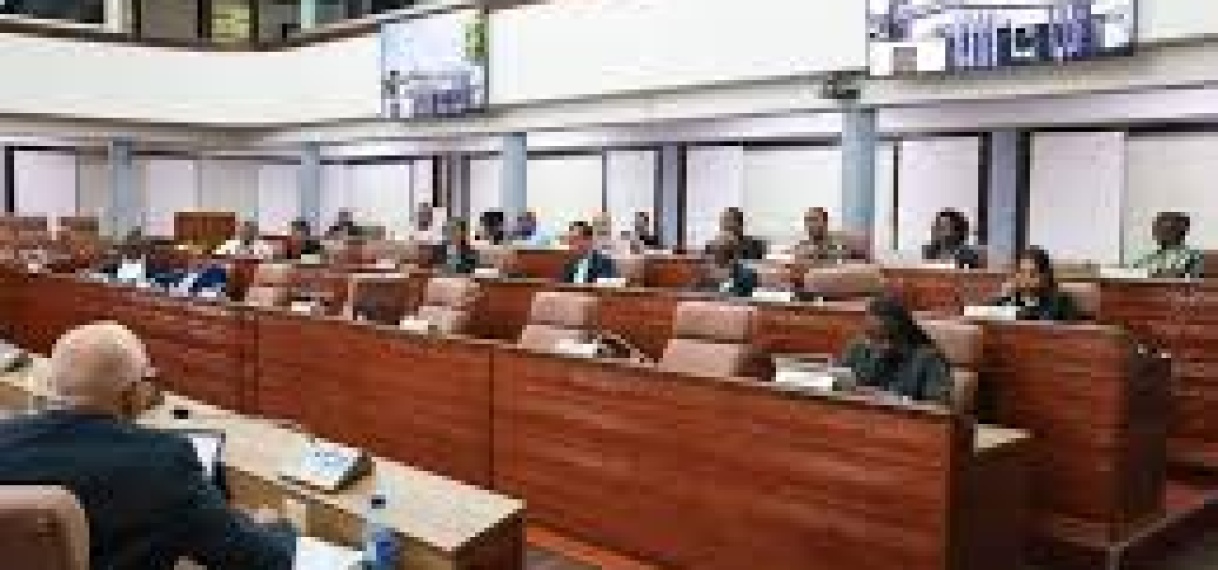 Parlementaire commissies bespreken knelpunten met ministers Currie en Gopal