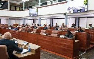 Parlementaire commissies bespreken knelpunten met ministers Currie en Gopal
