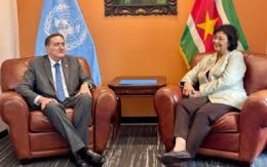 President Simons bespreekt gezondheidsprioriteiten met PAHO-directeur in New York