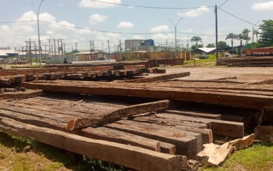 SBB ontdekt wederom honderden verdachte bruinhartpalen op EBS-terrein