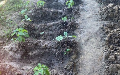 LVV schenkt extra groenteplantjes aan SO/VSO-school Welgedacht C