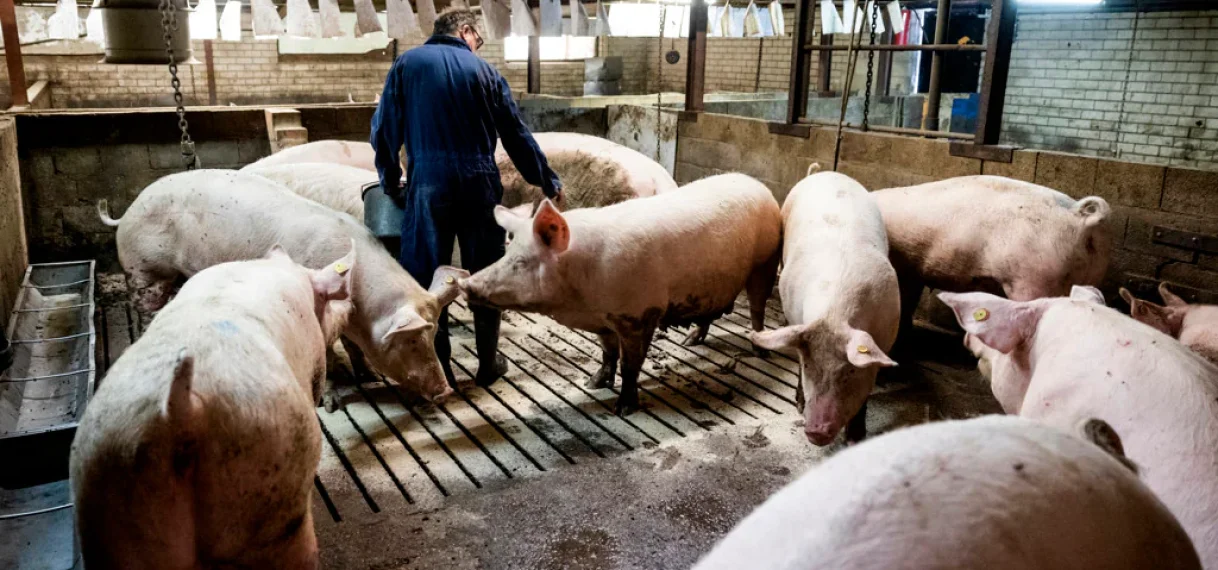 Monteur na drie werkdagen ontslagen om geloof en krijgt bijna €19.000