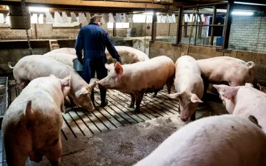 Monteur na drie werkdagen ontslagen om geloof en krijgt bijna €19.000