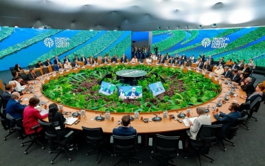 Suriname steunt oprichting Tropical Forests Forever Facility