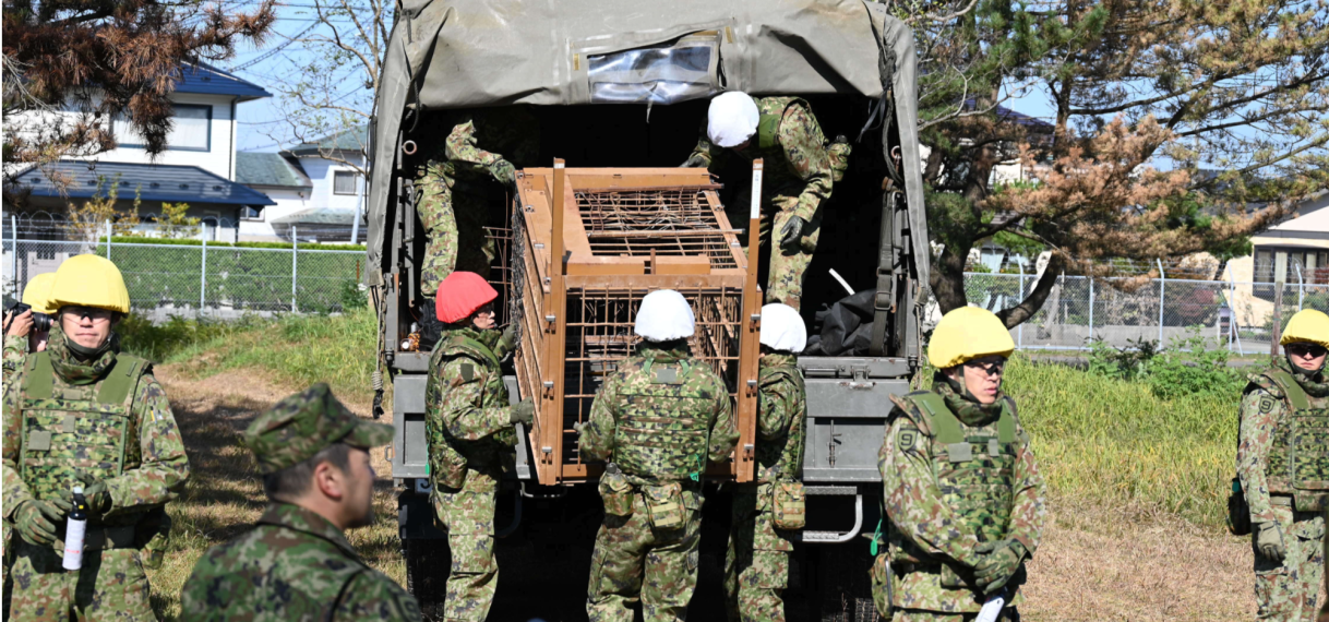 Japan zet leger in na recordaantal dodelijke beren-aanvallen