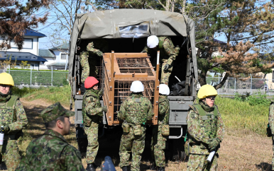 Japan zet leger in na recordaantal dodelijke beren-aanvallen
