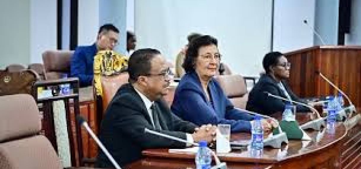 President en vicepresident bevestigen eenheid van beleid inzake Chinalco