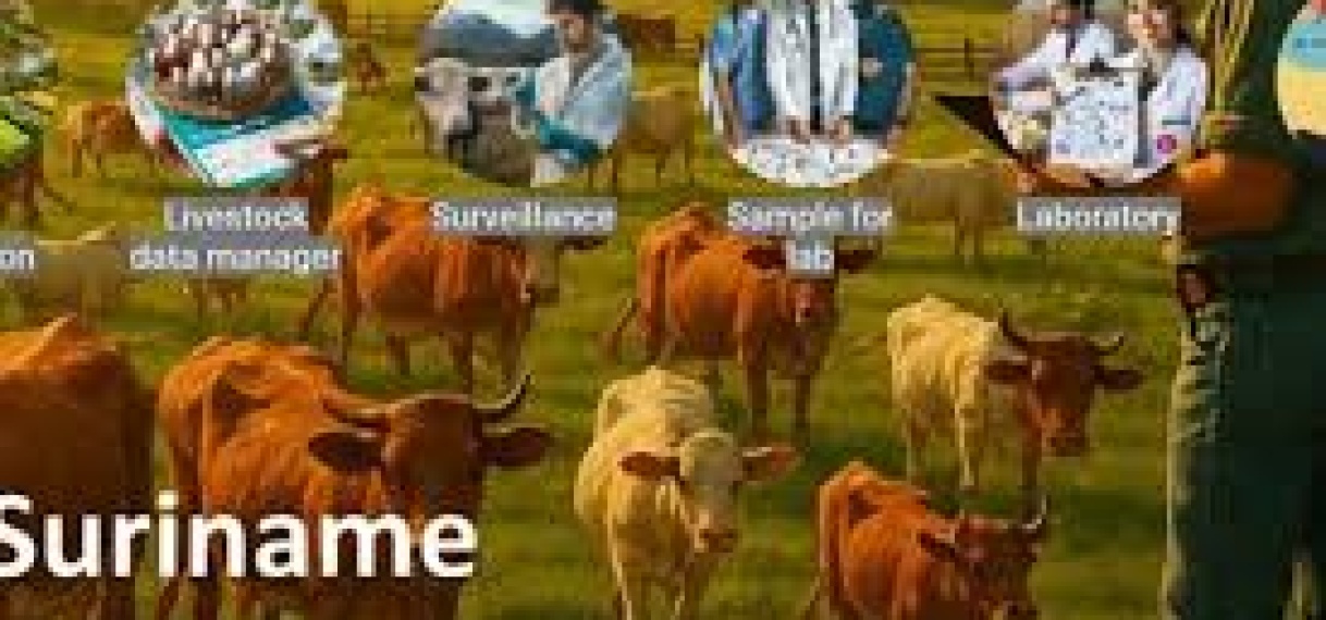 Directoraat Veeteelt introduceert modern diergezondheidsinformatiesysteem