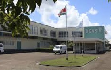 BGVS krijgt leidende rol in geneesmiddelenvoorziening