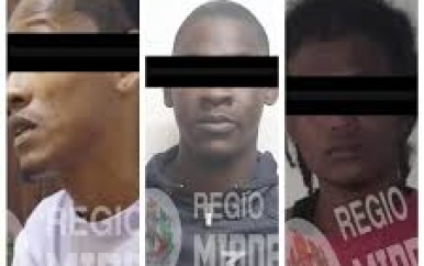 Drie verdachten aangehouden na gewelddadige beroving politieman in Brownsweg