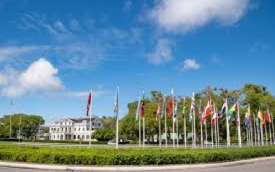 Districtscommissarissen roepen samenleving op te helpen bij schoner milieu