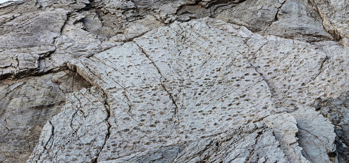 Duizenden dinosporen ontdekt op rotswand in Italiaanse Alpen
