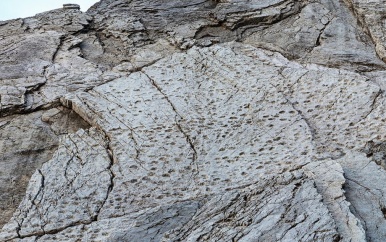 Duizenden dinosporen ontdekt op rotswand in Italiaanse Alpen