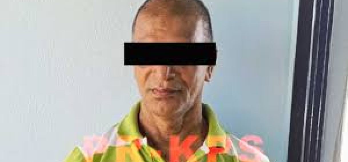 Update: RBTW houdt verdachte en heler aan, ter zake reeks gepleegde diefstallen; tweede heler na zes maanden in de kraag gevat