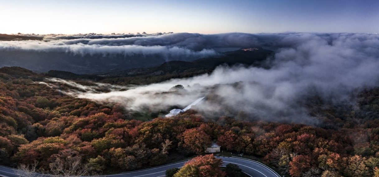 Drie jagers dood gevonden in bos op Sicilië