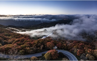 Drie jagers dood gevonden in bos op Sicilië
