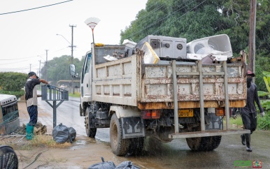 Risicogebieden krijgen opruimbeurt om chikungunya-uitbraak te beperken