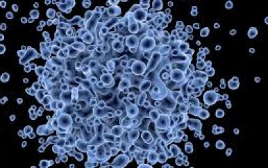 Drugstoornissen groeien uit tot grote zorg in Amerika’s, meldt PAHO-studie