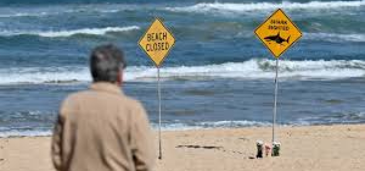 Sydney sluit stranden na vier haaienaanvallen in twee dagen tijd