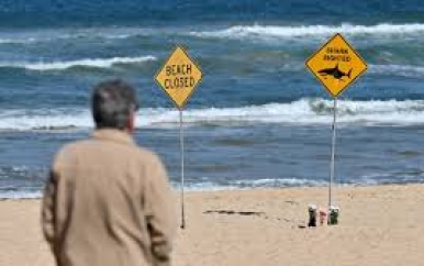 Sydney sluit stranden na vier haaienaanvallen in twee dagen tijd