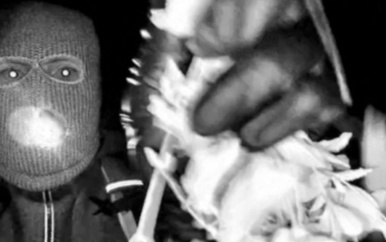 UPDATE: Handschoen met DNA gevonden in Guthrie-ontvoering; familie ‘houdt hoop’